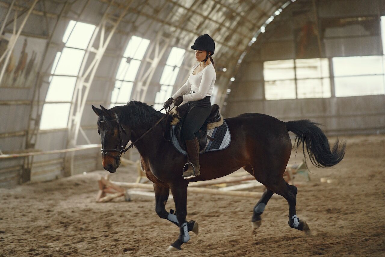 How Can a Prefab Steel Riding Arena Help You Improve Your Horse's Training and Performance?